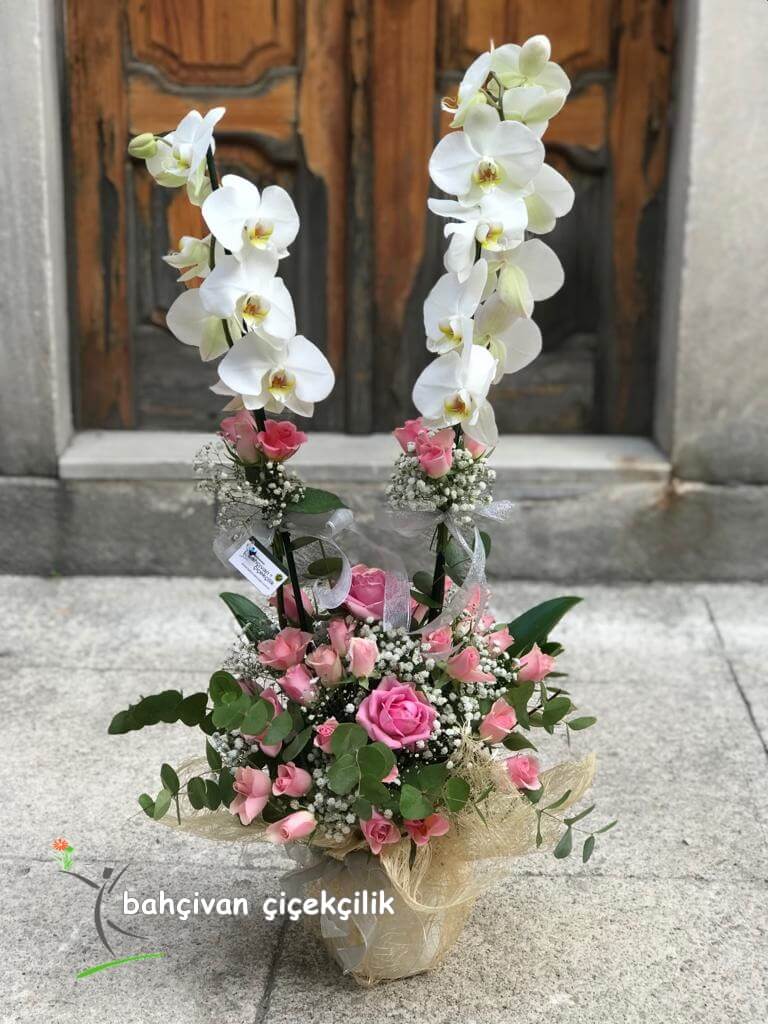 Orkide Gül Aranjmanı