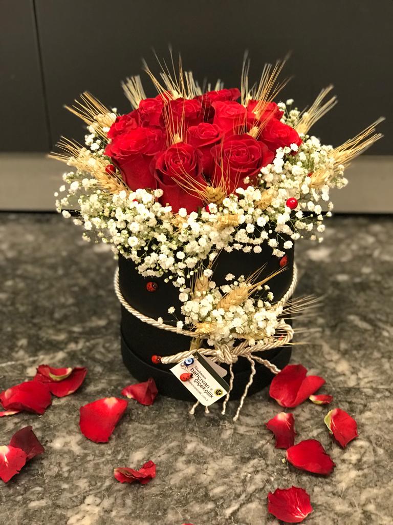 Kutuda Kırmızı Gül