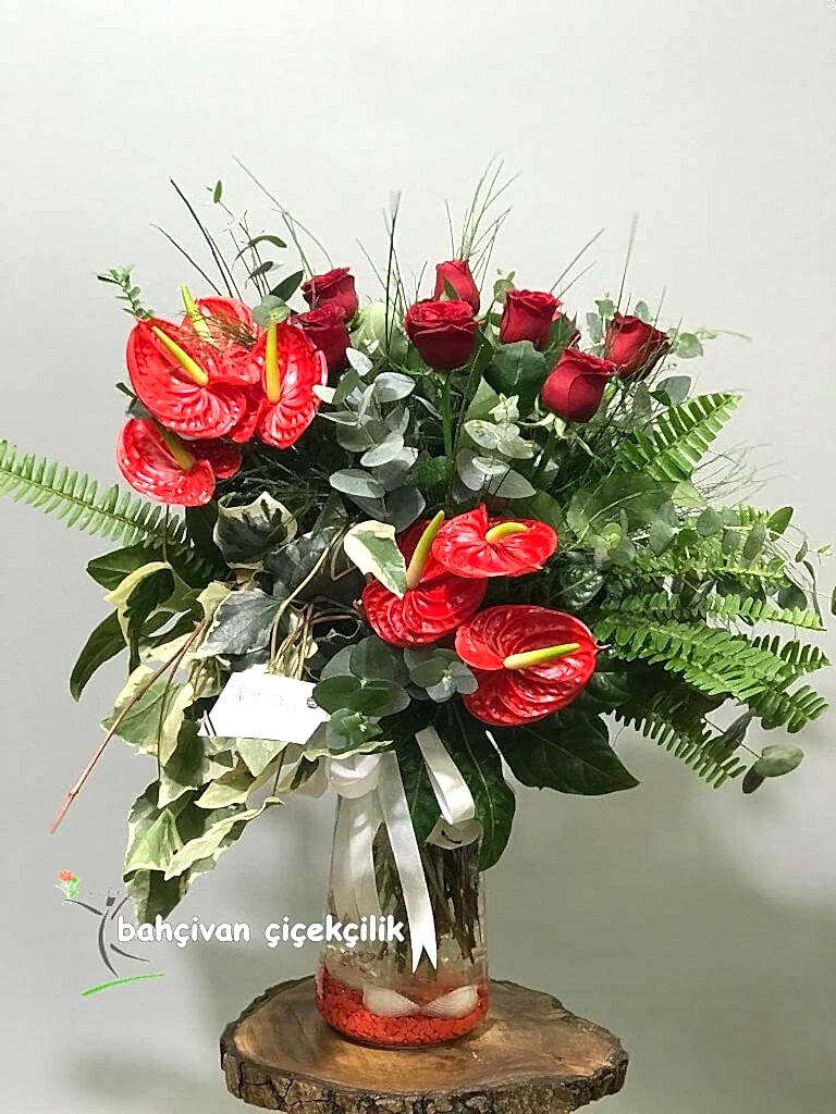 K�rm�z� Ye�il Aranjman