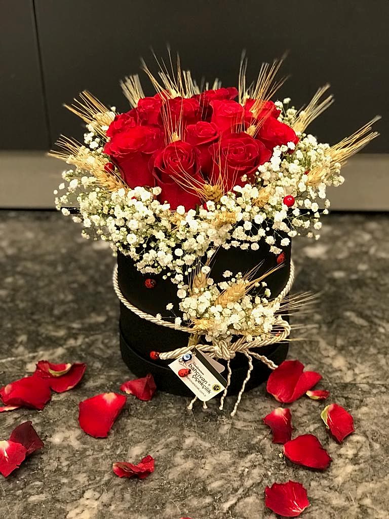 Kutuda K�rm�z� G�l