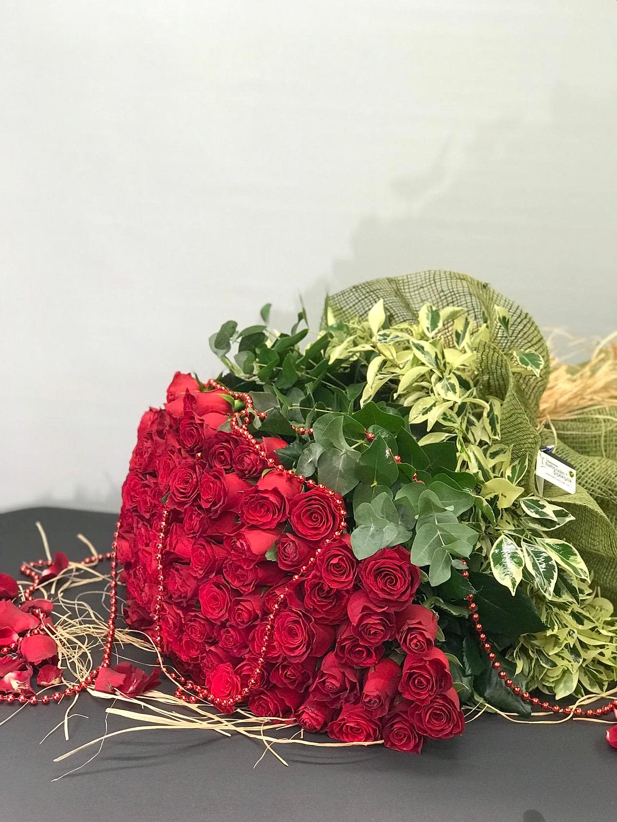 K�rm�z� G�l�n B�y�s�