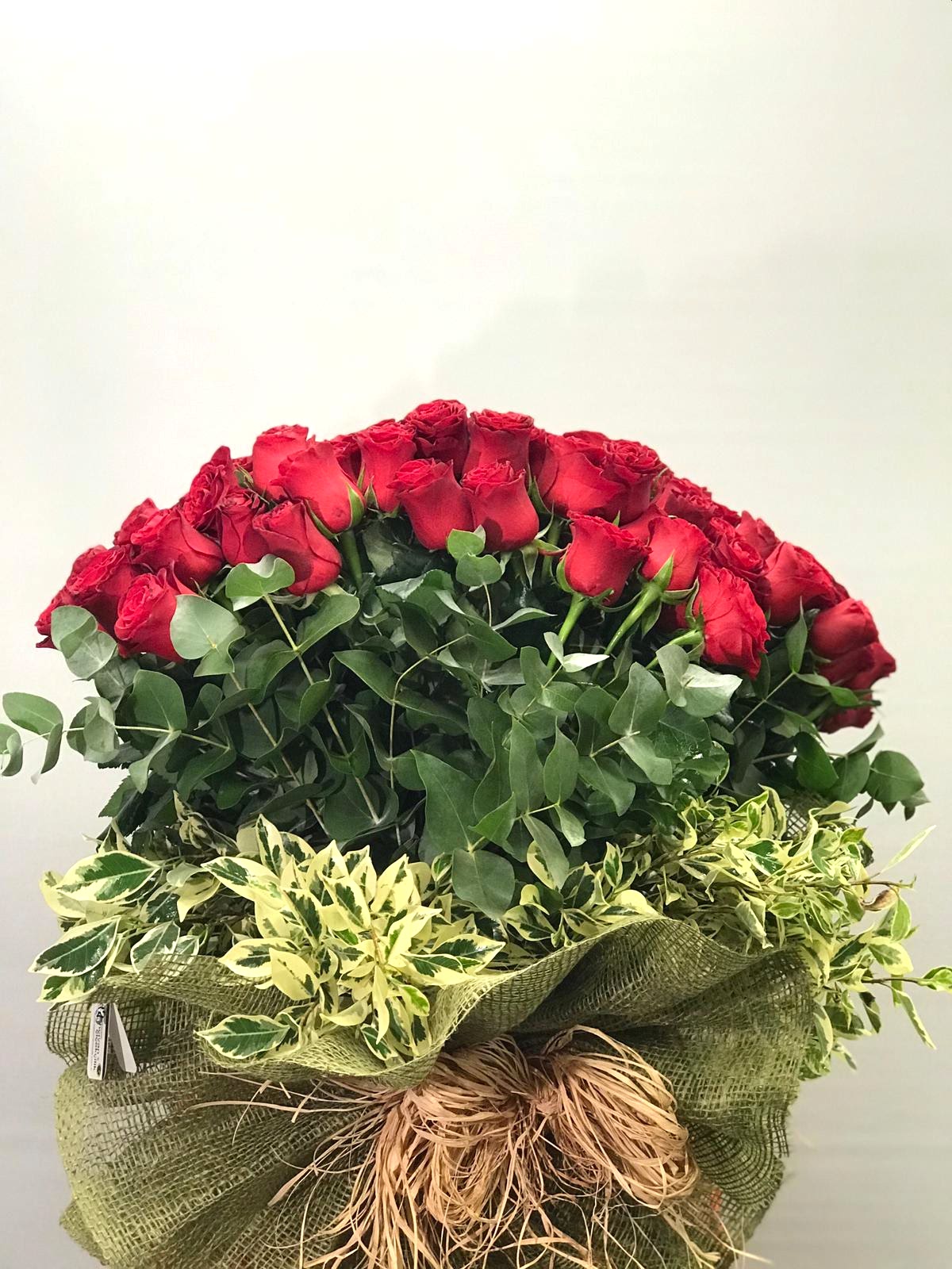 K�rm�z� G�l�n B�y�s�