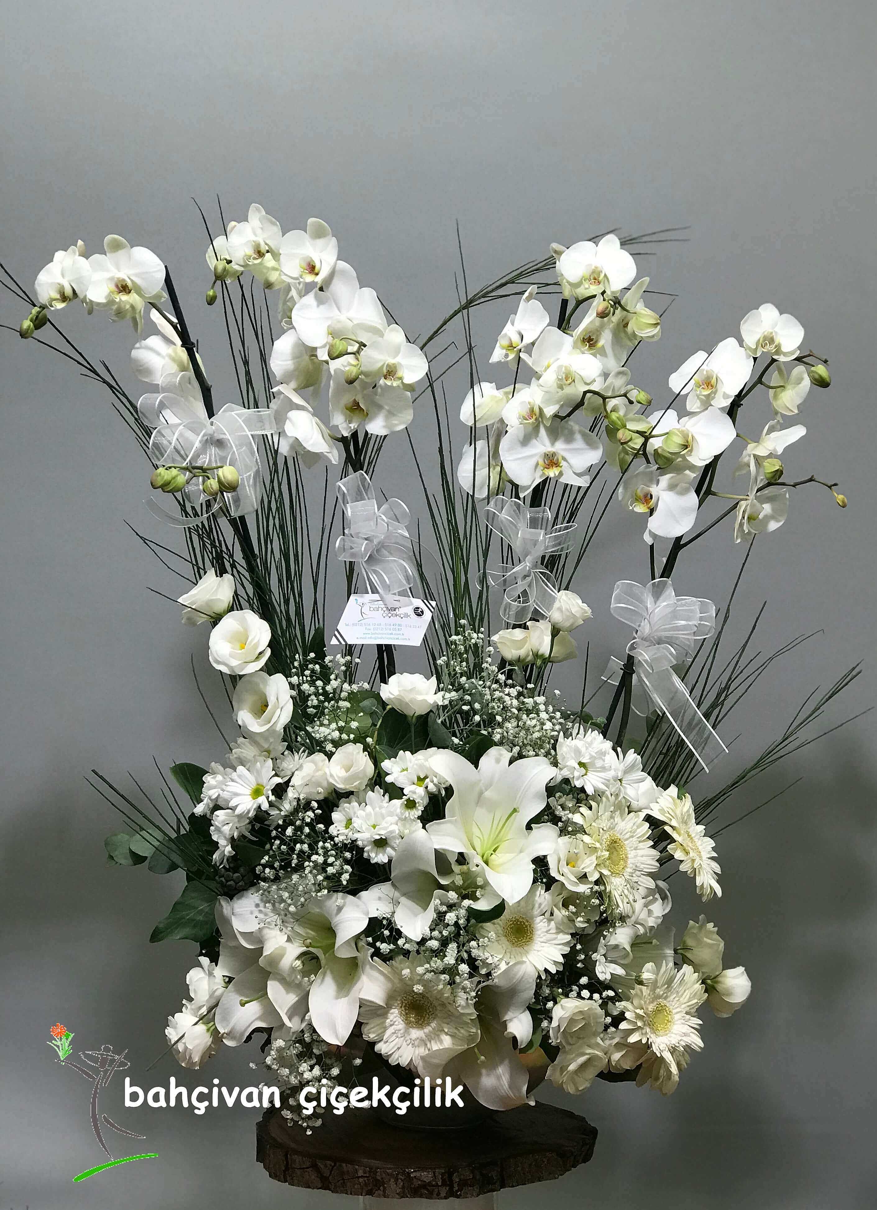 �hti�aml� Orkide Aranjman�