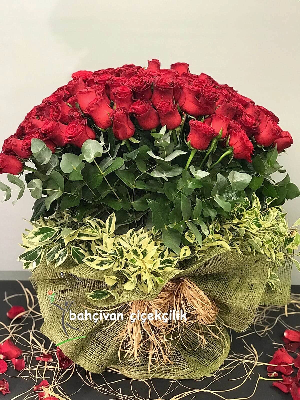 K�rm�z� G�l�n B�y�s�