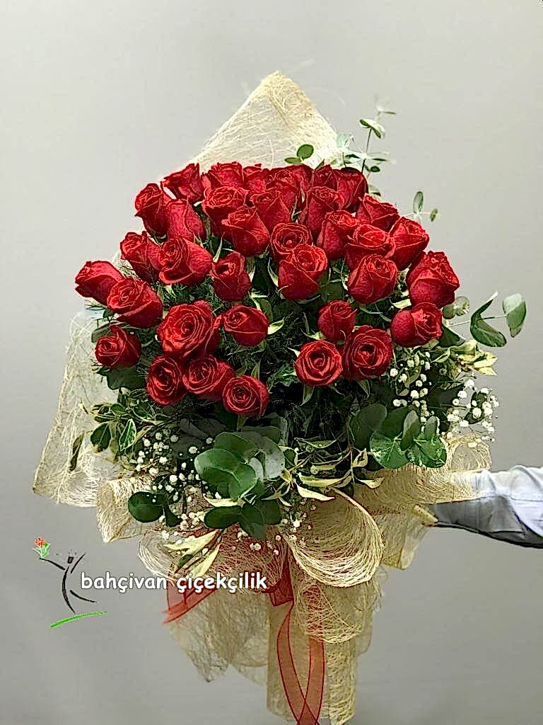 ��k G�l Toplulu�u